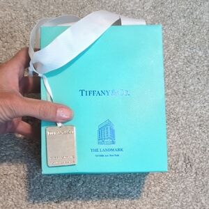 Tiffany & Co. Turquoise Bag with White Ribbon